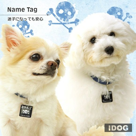 【 迷子札 犬 猫 】IDOG&ICATオリジナル ネームタグ角丸 迷子札 海賊旗 メール便OK