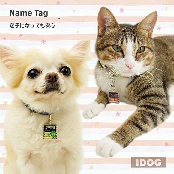 【 迷子札 犬 猫 】IDOG&ICATオリジナル ネームタグ角丸 迷子札 ライオン メール便OK
