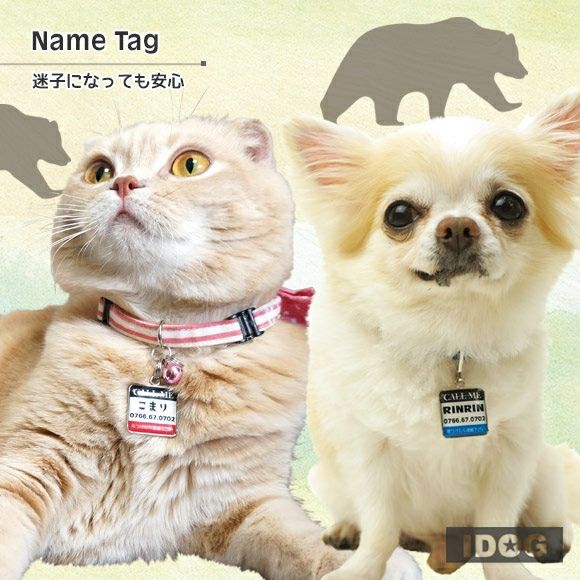 【 迷子札 犬 猫 】IDOG&ICATオリジナル ネームタグ角丸 迷子札 CALLME メール便OK