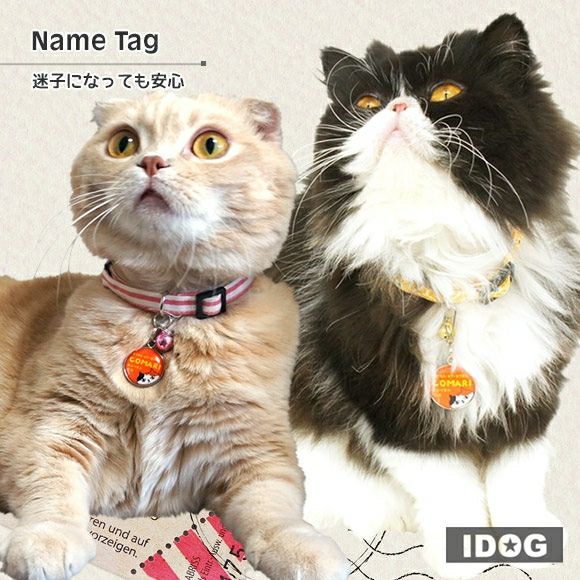 【 迷子札 犬 猫 】IDOG&ICATオリジナル ネームタグ 迷子札 ネコ メール便OK