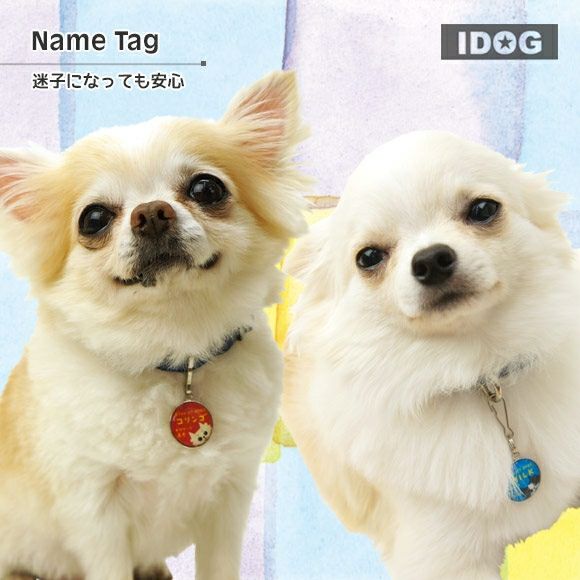 iDog＆iCat本店】iDog&iCatオリジナル ネームタグ 迷子札チワワ-犬猫
