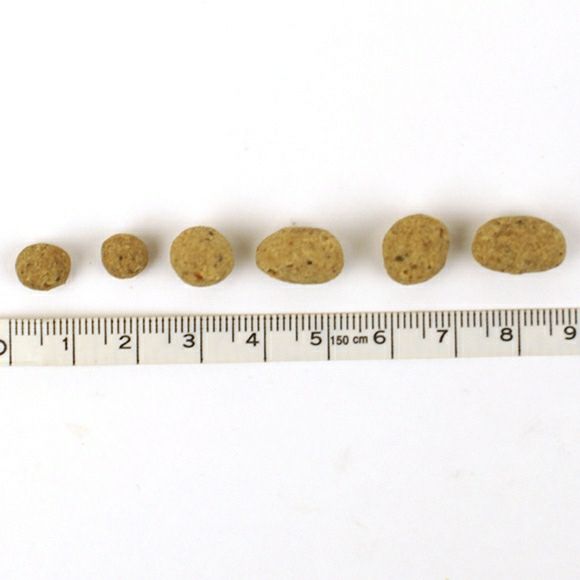 【 犬 ドッグフード 】ジロ吉ごはんだよ オールステージ 繊維少なめ1kg×3袋 まとめ買いセット