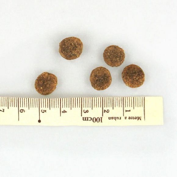 【 犬 ドッグフード 】ナチュラルハーベスト Natural Harvest シュープリーム1.1kg×6袋 まとめ買いセット