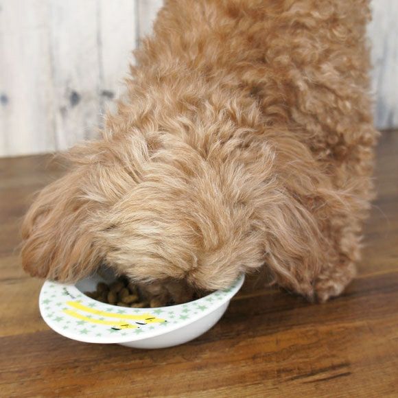 【 犬 ドッグフード 】ナチュラルハーベスト Natural Harvest シュープリーム1.1kg×6袋 まとめ買いセット