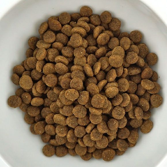 【 犬 ドッグフード 】ナチュラルハーベスト Natural Harvest マイリトルダーリン 1.1kg×6袋 まとめ買いセット