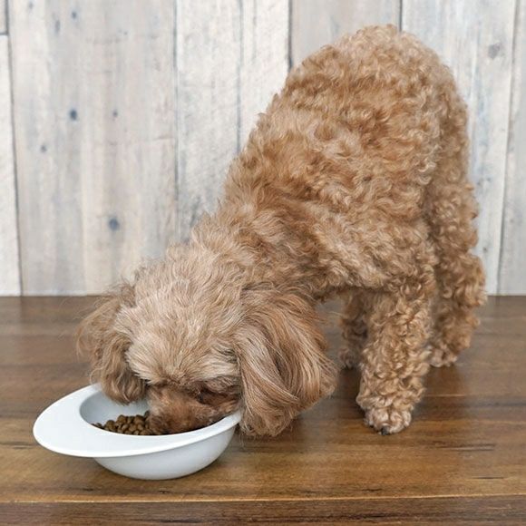 【 犬 ドッグフード 】ナチュラルハーベスト Natural Harvest マイリトルダーリン 1.1kg×6袋 まとめ買いセット