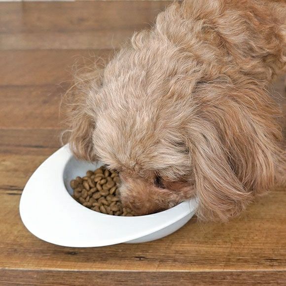 【 犬 ドッグフード 】ナチュラルハーベスト Natural Harvest マイリトルダーリン 1.1kg×6袋 まとめ買いセット