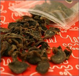 【 犬 手作り 】どっとわん ドットわん チップス鶏砂肝 小粒