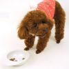 【 犬 ドッグフード 】SELECT BALANCE セレクトバランス エイジングケアラム 7kg