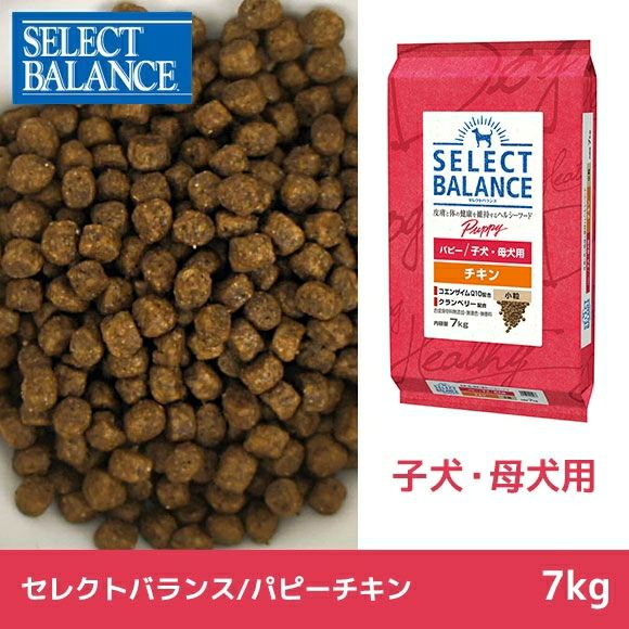 【 犬 ドッグフード 】SELECT BALANCE セレクトバランス パピーチキン 7kg