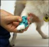 【 犬 猫 包帯 】コフレックスバンテージ 犬用包帯テーピング