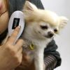 【 犬 猫 ブラシ 】IDOG&ICAT glosse うるおいケアブラシ