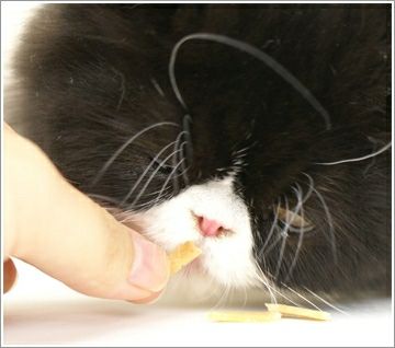 【 猫 おやつ 】ペッツルート 毛玉スッキリ しっとりささみ 鯛風味 20g メール便OK