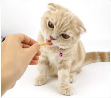 【 猫 おやつ 】ペッツルート 毛玉スッキリ ほぐれるささみ 20g メール便OK