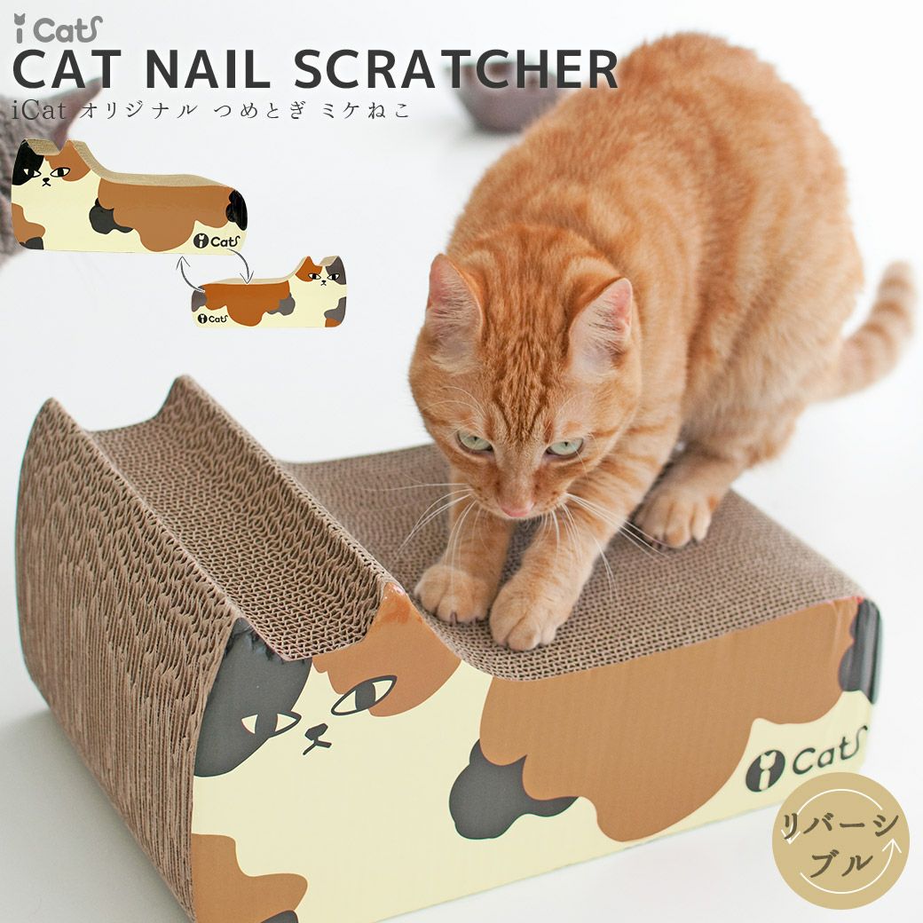 iDog＆iCat本店】iDog Living i Step アイステップレザータイプ 3段-