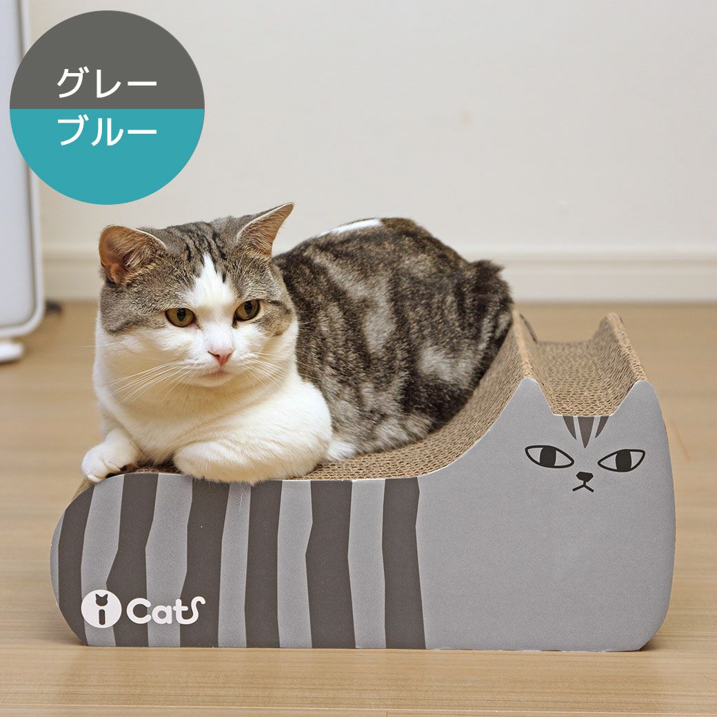 マンチカン3.5kgの三郎くんはグレーブルーを使用