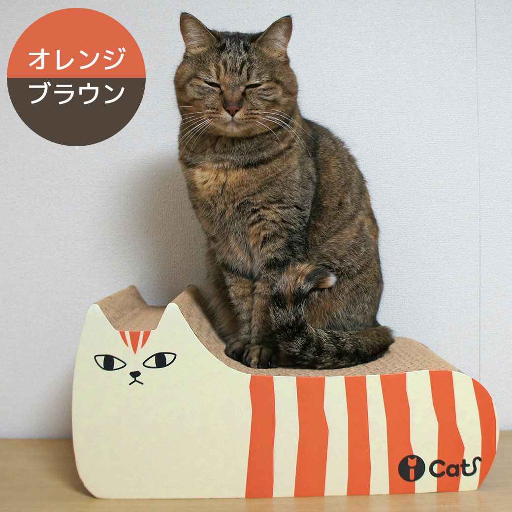 MIX3.6kgのごまちゃんはオレンジブラウンを使用