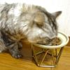 【 猫 キャットフード 】ジロ吉ごはんだよ 一般食タイプ 500g