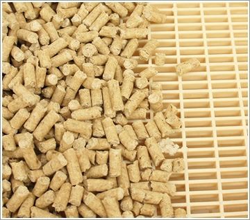 【 猫砂 】ヒノキ 天然ひのきチップ4L