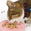 【 猫 おやつ 】いなば とびつく メール便OK