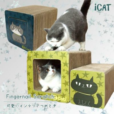 猫 服 ショップ で 爪 とぎ