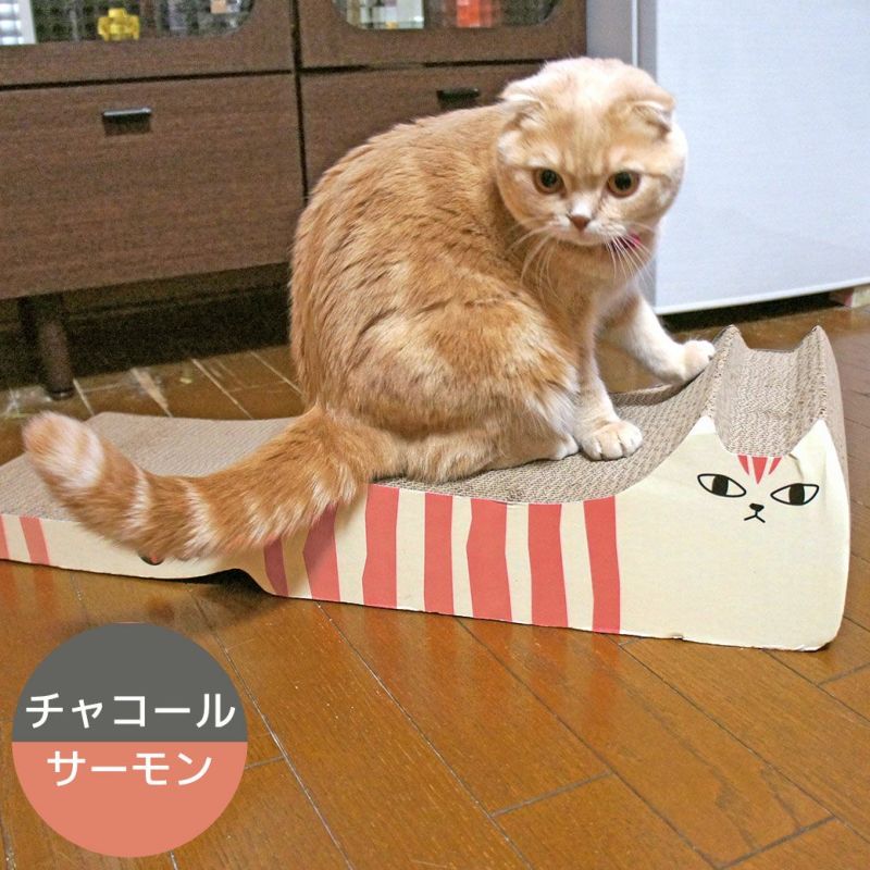 新品同様♡コーチ♡サーキュラー♡ケース♡キャット♡ねこ♡ミント AZONE INTERNATIONAL::えっくす☆きゅーと
