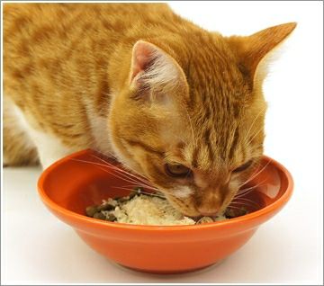 【 猫 おやつ 】ペッツルート 無添加とりけずり ふわふわ花