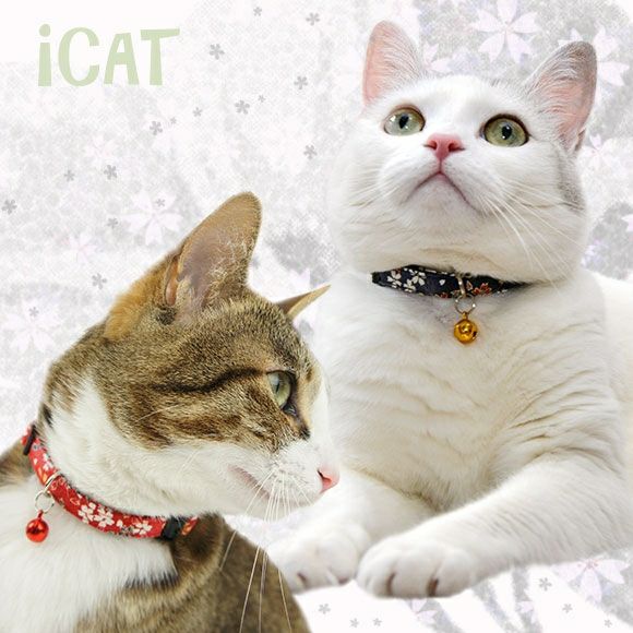 【 猫 首輪 安全 】iCat アイキャット カジュアルカラー 和柄 しだれ桜 メール便OK