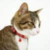 【 猫 首輪 安全 】iCat アイキャット カジュアルカラー 和柄 しだれ桜 メール便OK