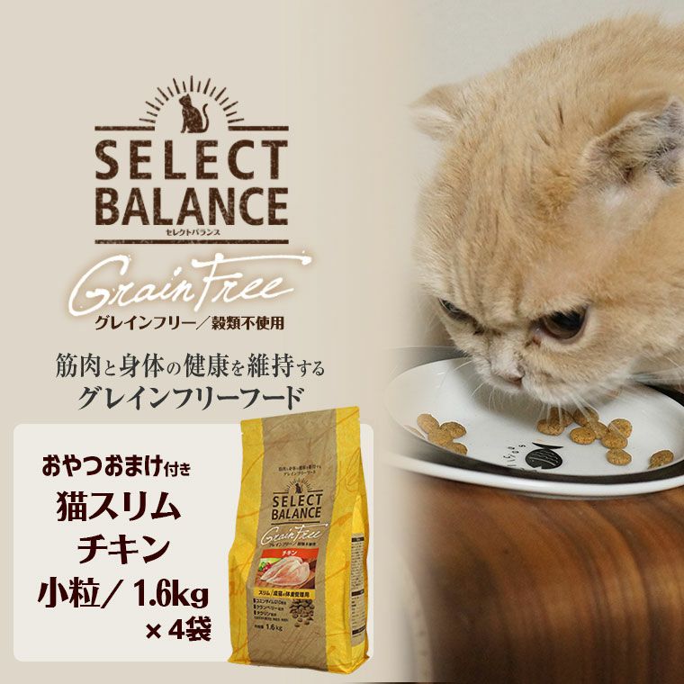 セレクトバランス キャット グレインフリー スリム チキン
