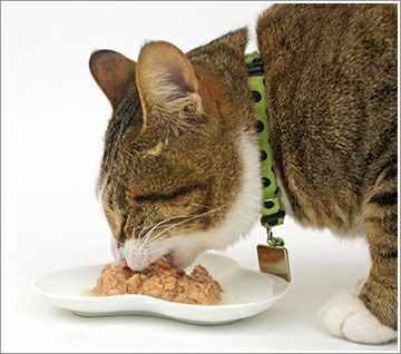 【 猫 キャットフード 】プリンピア 介護のためのたまの伝説 長生きしてねとろみまぐろ 70g缶 24缶セット