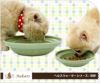 【 犬 猫 フードボウル 】オーカッツ Aukatz ヘルスウォーターシリーズ 浅鉢