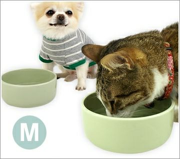 【 犬 猫 フードボウル 】オーカッツ Aukatz ヘルスウォーターシリーズ ボウル M