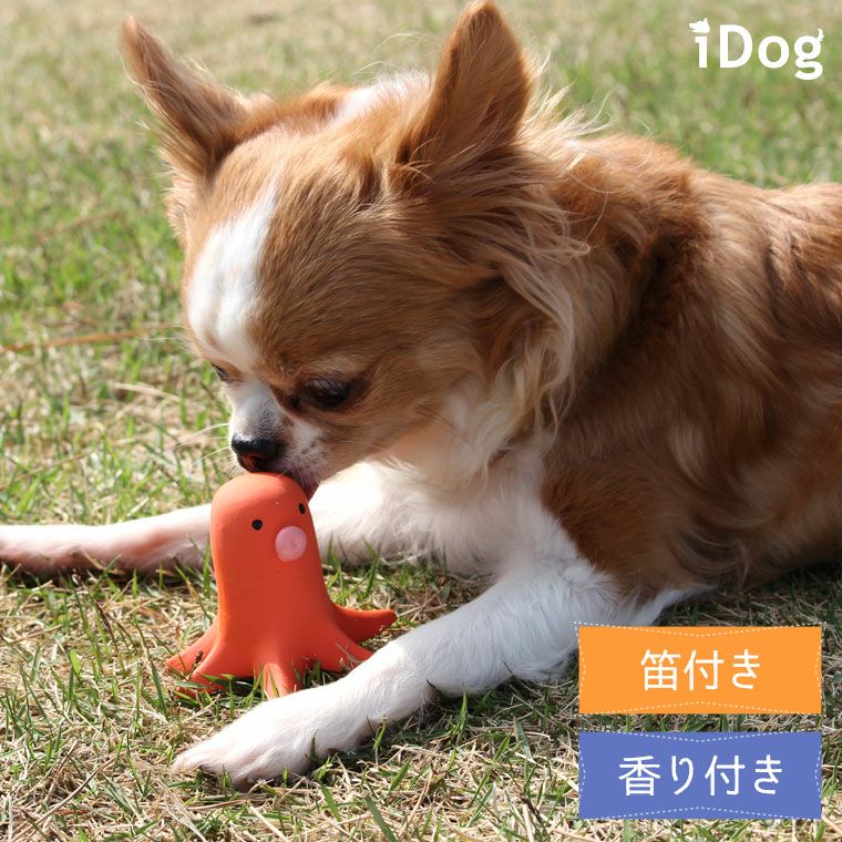 iDog TOY ラテックスTOY タコさんウィンナー IDOG&ICAT|犬 おもちゃ