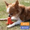 【 犬 おもちゃ 】iDog TOY ラテックスTOY タコさんウィンナー アイドッグ