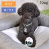 【 犬 おもちゃ 】iDog TOY ラテックスTOY 恐竜のたまご アイドッグ