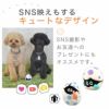 【 犬 おもちゃ 】iDog TOY ラテックスTOY 恐竜のたまご アイドッグ