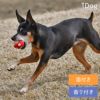 【 犬 おもちゃ 】iDog TOY ラテックスTOY 水玉キノコ アイドッグ