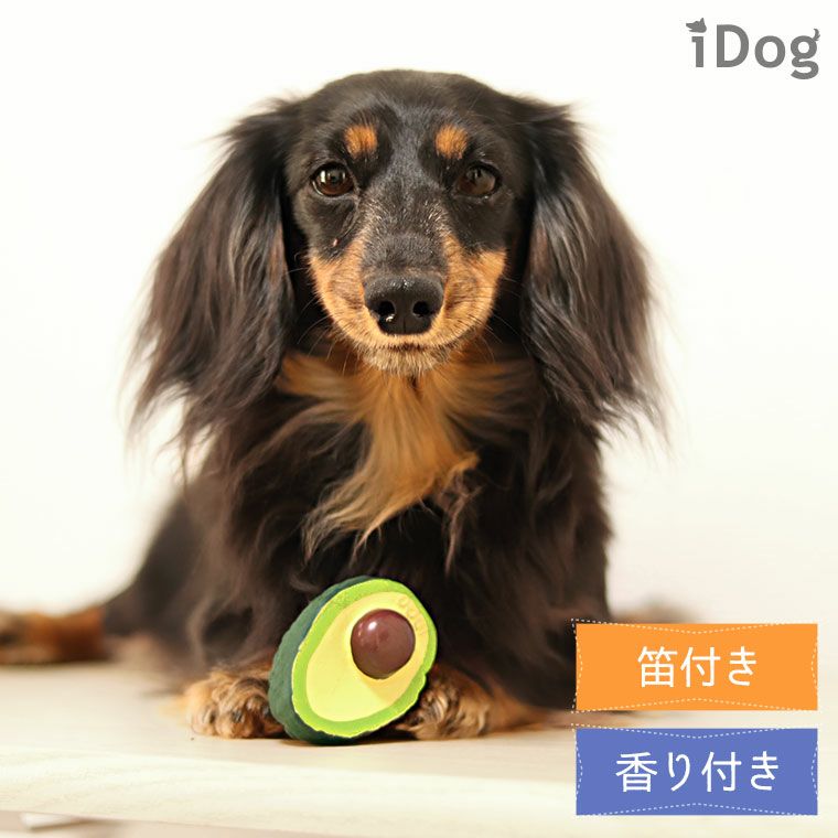 愛犬ここあ　専用出品 iDog TOY ラテックスTOY アボカド-犬猫ペット用品通販の
