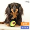 【 犬 おもちゃ 】iDog TOY ラテックスTOY アボカド