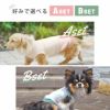 【冷感犬服】COOLME&COOLChillお試し福袋2枚入りオリジナルバッグ付き【涼感ひんやりcoolクールウェア涼しい夏服夏用犬の服トイプードルダックスチワワドッグウェア暑さ対策犬服idog楽天】。