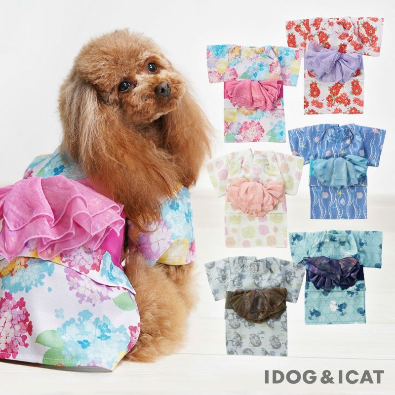 iDog華やか大輪帯浴衣アイドッグ