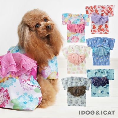 iDog華やか大輪帯浴衣アイドッグ