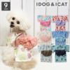 iDog華やか大輪帯浴衣アイドッグ