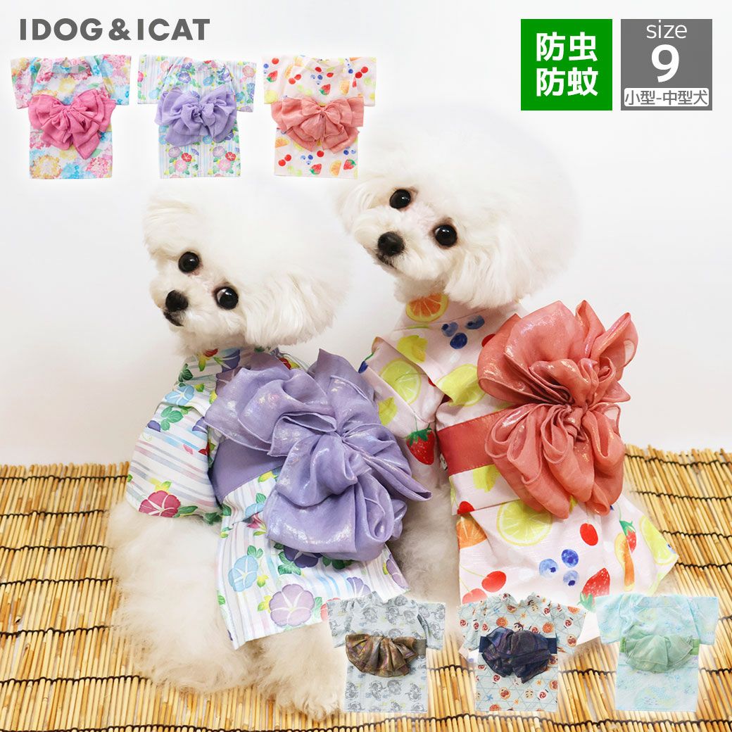 iDog華やか大輪帯浴衣アイドッグ