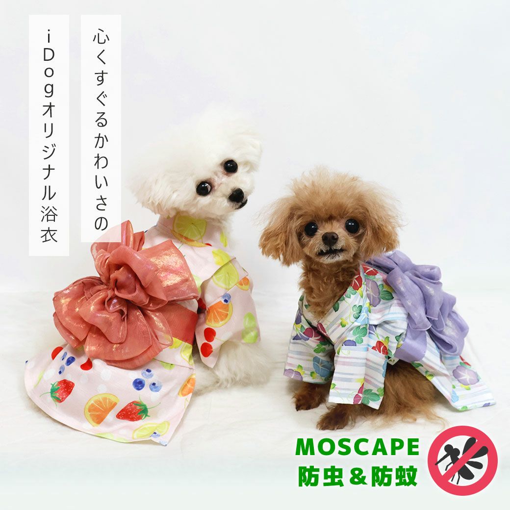 iDog華やか大輪帯浴衣アイドッグ