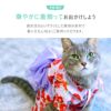 華やかに着飾って楽しいイベントを過ごそう