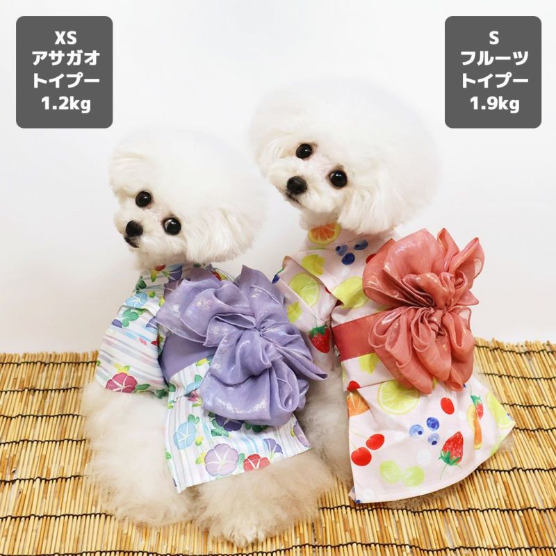 iDog MOSCAPE 華やか大輪帯浴衣 防蚊 アイドッグ-犬猫用品通販