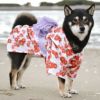 柴犬9.0kg(首36/胴52/丈43cm)のざくろちゃんは花流水のXXLを着用