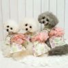 左からトイプー1.2kg(首15/胴26/丈19cm)のマユリちゃんはXS、1.9kg(首17/胴29/丈22cm)のメリナちゃんと2.3kg(首18/胴31/丈24cm)のメルシーちゃんはSのポピーを着用